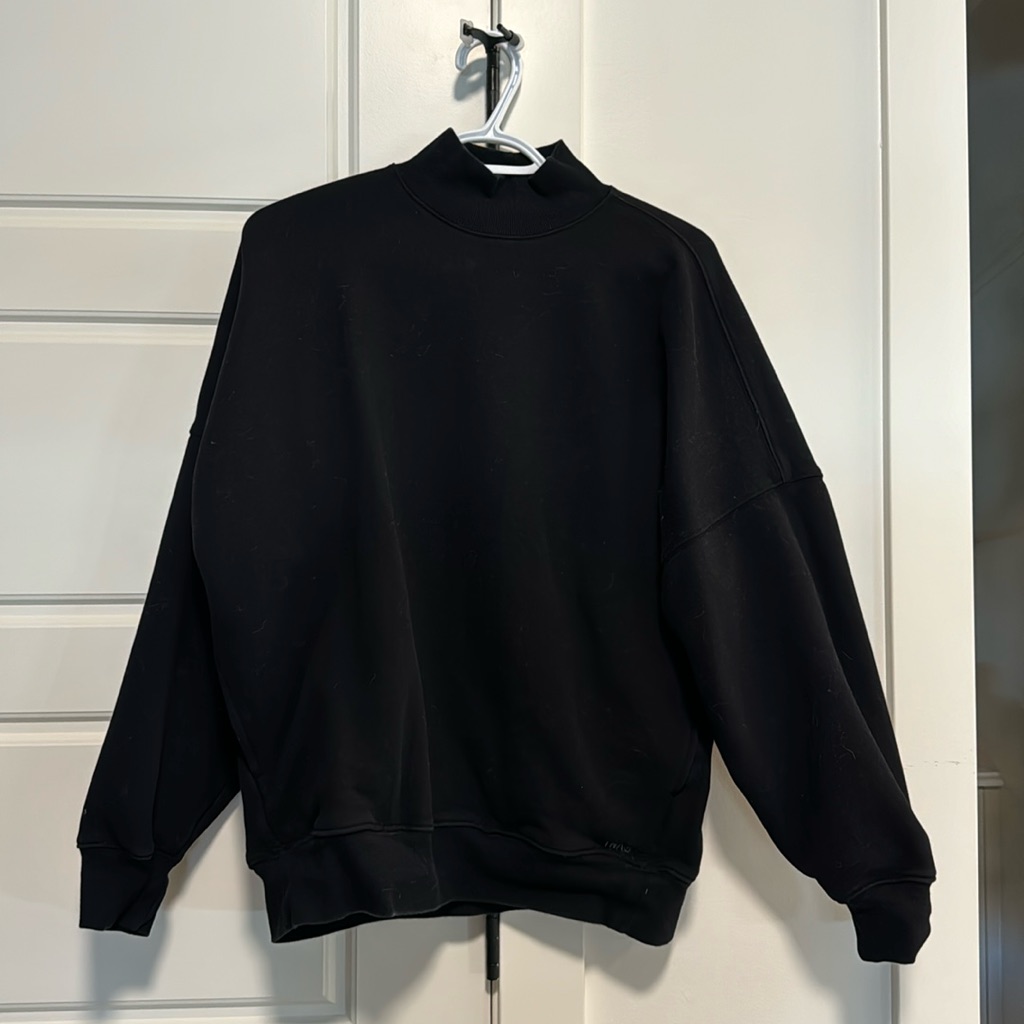 Aritzia Turtleneck